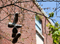 garver-shoe-trees