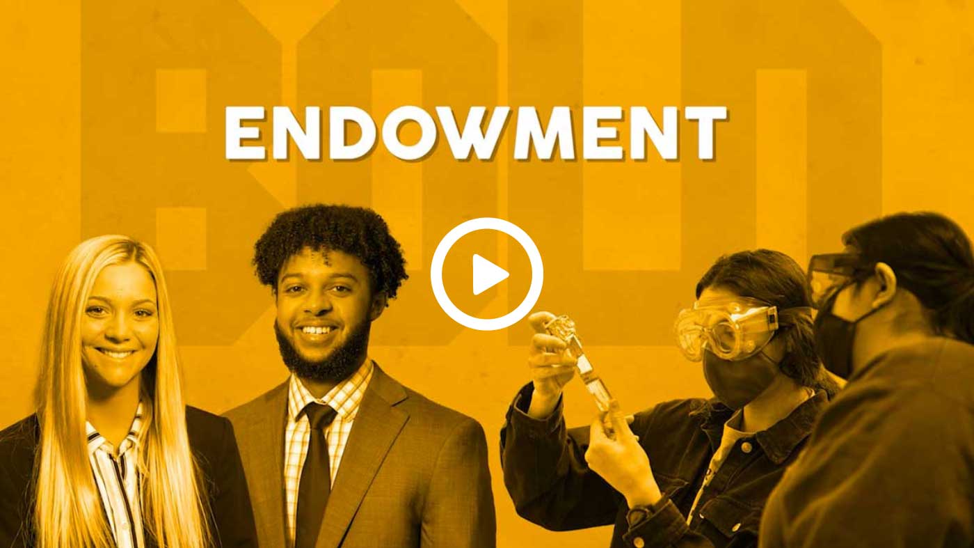 Watch a video about endowment and then give boldly.