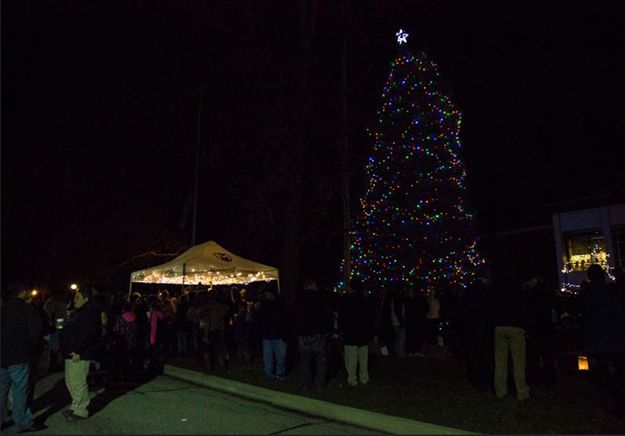 Christmas Tree lighting 