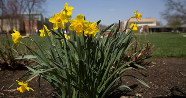 Spring on campus